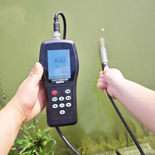 如何預防魚類疾病，如何科學預防魚類疾病