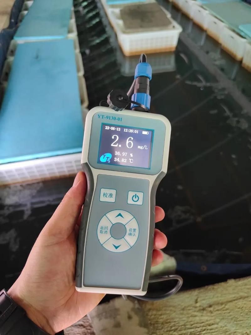 如何預防魚類疾病，如何科學預防魚類疾病