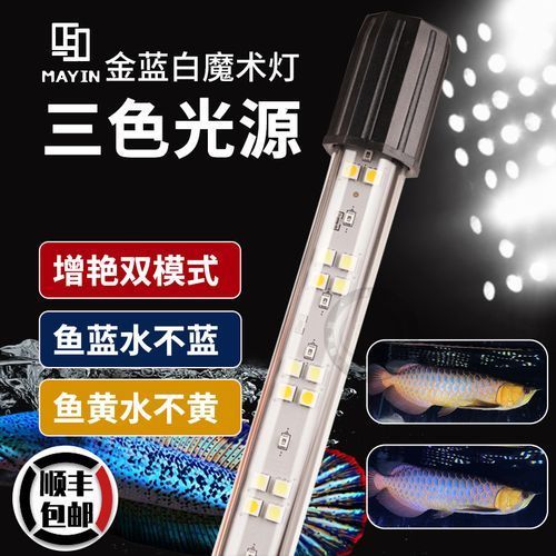 有哪些品牌過背金龍魚燈推薦，有哪些品牌過背金龍魚燈推薦調用工具 有哪些品牌過背金龍魚燈推薦，有哪些品牌過背金龍魚燈推薦調用工具 龍魚百科 第5張