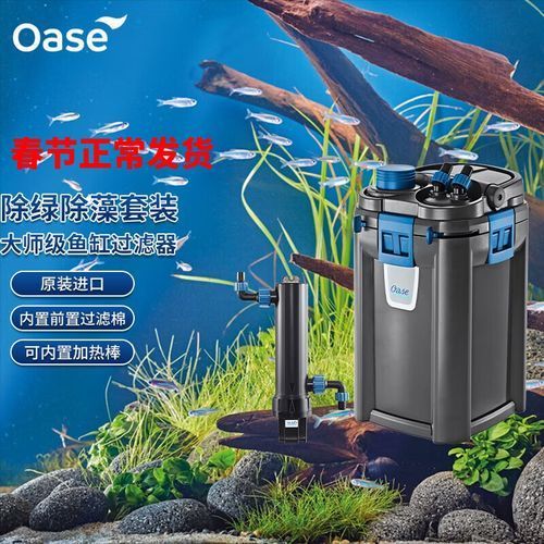 推薦幾款性價比高的龍魚養(yǎng)殖設(shè)備，家庭養(yǎng)殖龍魚設(shè)備推薦