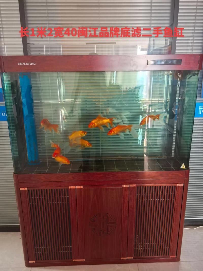 推薦幾款性價比高的龍魚養(yǎng)殖設(shè)備，家庭養(yǎng)殖龍魚設(shè)備推薦