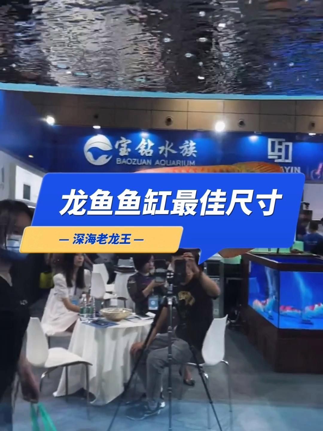 如何判斷龍魚缸是否合適？