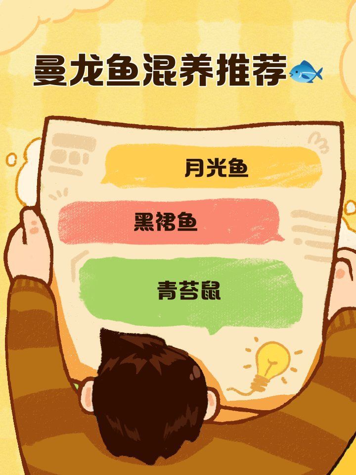曼龍魚的最佳混養伙伴有哪些，曼龍魚混養指南