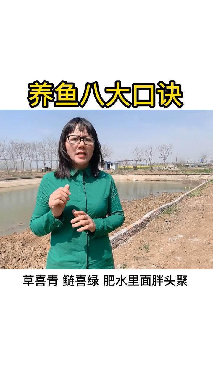 有哪些養魚口訣是通用的，——養魚口訣