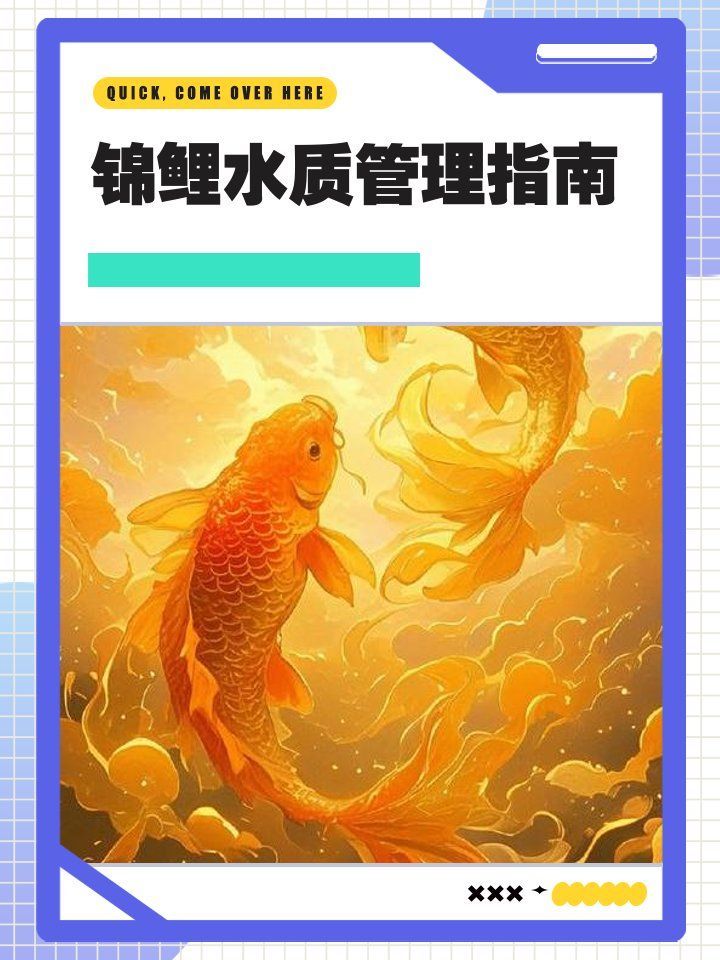如何判斷錦鯉魚缸是否需要補菌，錦鯉魚缸是否需要補菌通常可以通過以下幾個步驟判斷