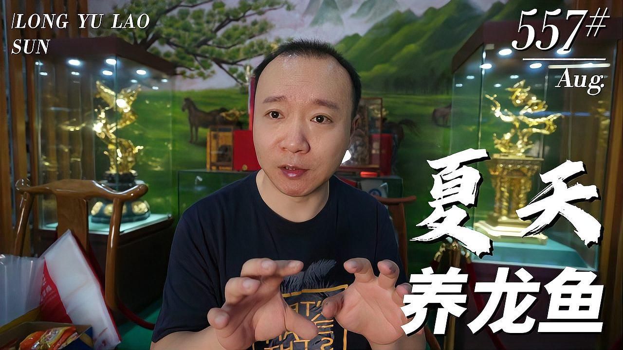 恢復高水位后如何防止龍魚褪色，恢復高水位后如何防止龍魚褪色,高水位后如何防止龍魚褪色
