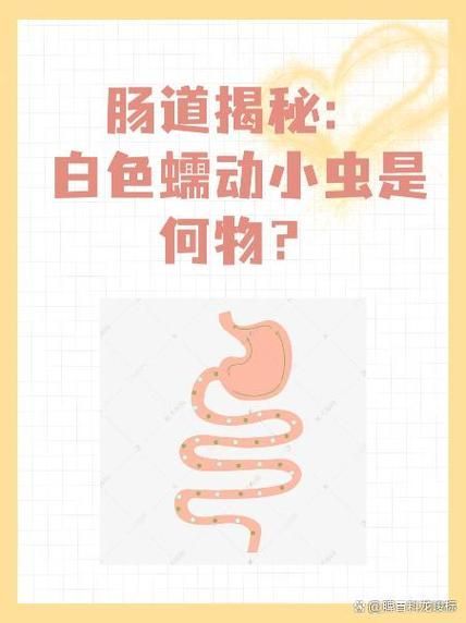 能提供一些預防龍魚腸道寄生蟲感染的圖片嗎，如何預防龍魚腸道寄生蟲感染？ 能提供一些預防龍魚腸道寄生蟲感染的圖片嗎，如何預防龍魚腸道寄生蟲感染？ 龍魚百科 第7張