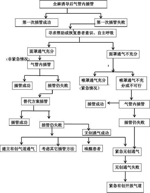 如何正確使用安定劑麻醉龍魚？，如何正確使用安定劑麻醉龍魚