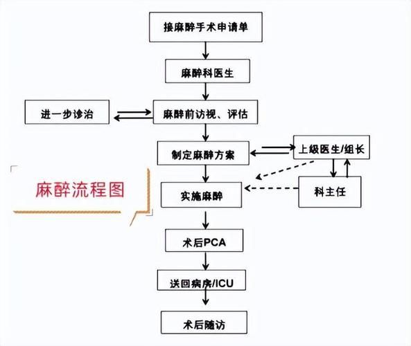 如何正確使用安定劑麻醉龍魚？，如何正確使用安定劑麻醉龍魚