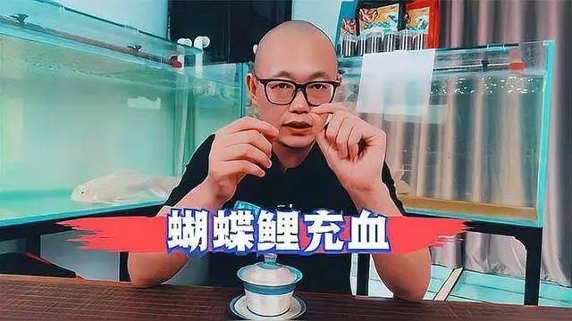 充血魚如何治療，充血魚的治療方法 充血魚如何治療，充血魚的治療方法 龍魚百科 第2張