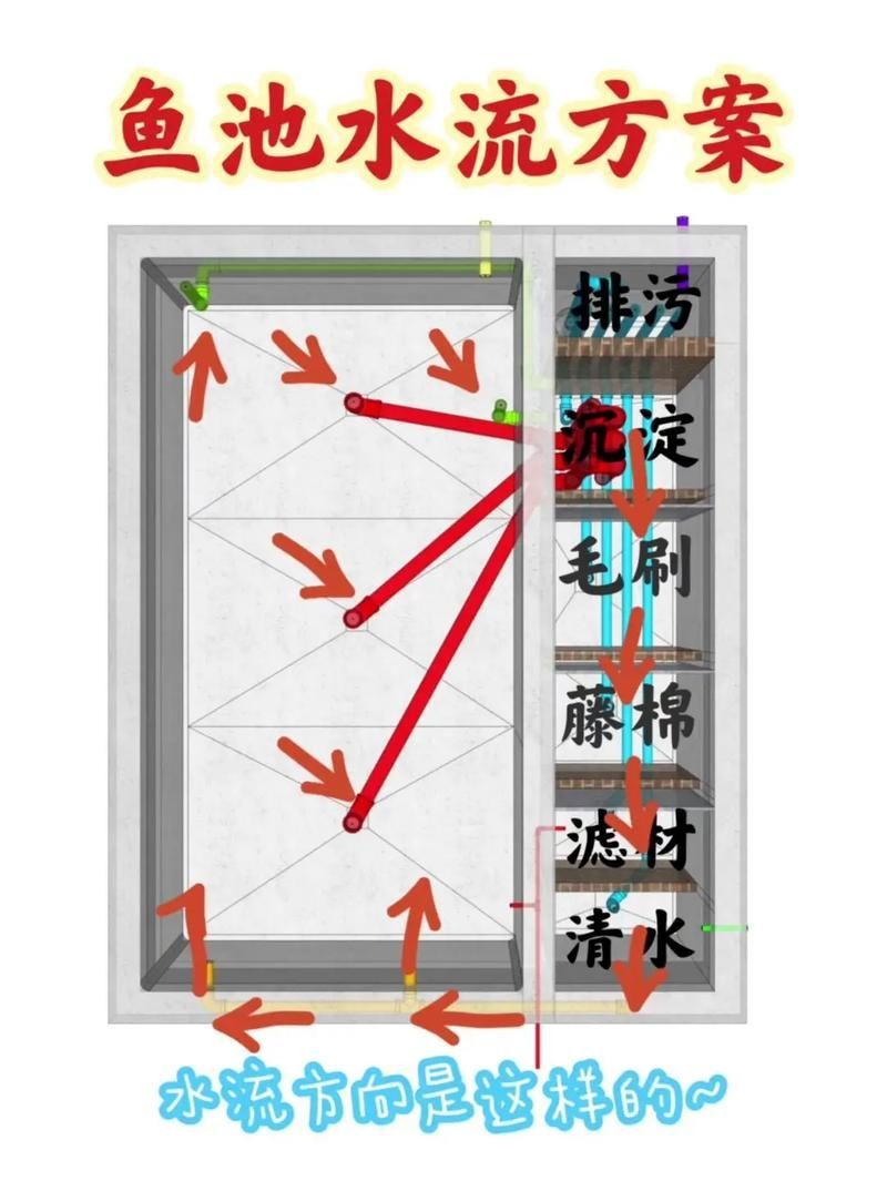 如何延長丹頂錦鯉的壽命？，如何延長丹頂錦鯉壽命 如何延長丹頂錦鯉的壽命？，如何延長丹頂錦鯉壽命 龍魚百科 第6張