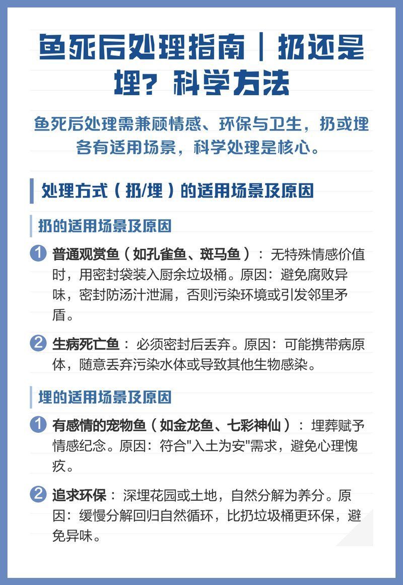 埋魚時需要注意哪些細節，————埋魚時需要注意哪些細節 埋魚時需要注意哪些細節，————埋魚時需要注意哪些細節 龍魚百科 第1張
