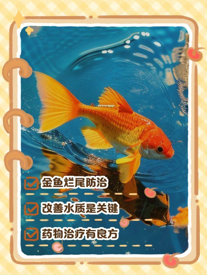 哪種藥物治療金魚爛尾最見效，哪種藥物治療金魚爛尾最有效