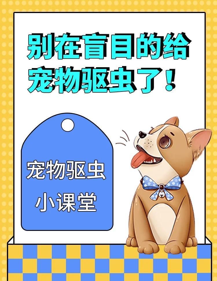 有哪些安全的外寄生蟲治療方法，寵物體外寄生蟲怎么治療 有哪些安全的外寄生蟲治療方法，寵物體外寄生蟲怎么治療 龍魚百科 第2張