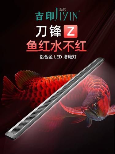 推薦幾款適合龍魚的燈，適合龍魚的燈具推薦