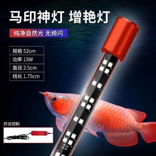 推薦幾款適合龍魚的燈，適合龍魚的燈具推薦