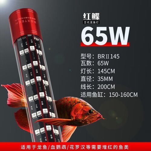 推薦幾款適合龍魚的燈，適合龍魚的燈具推薦