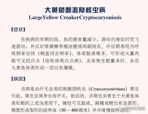 黃鰭鯧魚有哪些常見疾病，黃鰭鯧魚（pampuspunctatissimus） 黃鰭鯧魚有哪些常見疾病，黃鰭鯧魚（pampuspunctatissimus） 龍魚百科 第2張