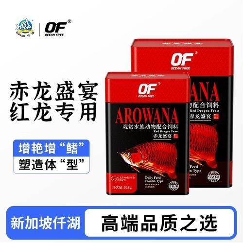 龍魚體色如何增艷？，如何讓龍魚體色更加鮮艷奪目 龍魚體色如何增艷？，如何讓龍魚體色更加鮮艷奪目 龍魚百科 第6張