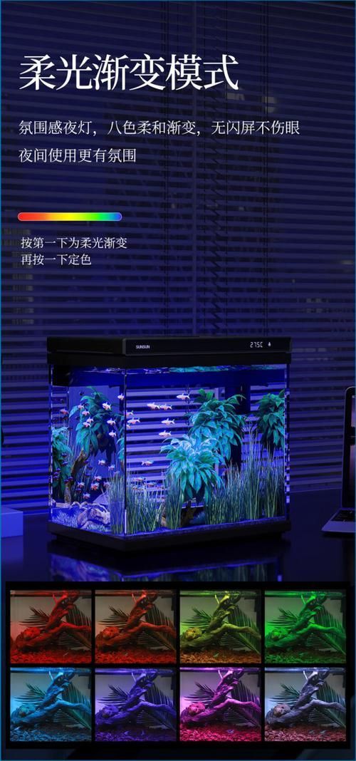推薦幾款性價比高的森森魚缸，森森魚缸以高性價比高性價比高性價比高的森森魚缸推薦 推薦幾款性價比高的森森魚缸，森森魚缸以高性價比高性價比高性價比高的森森魚缸推薦 龍魚百科 第14張