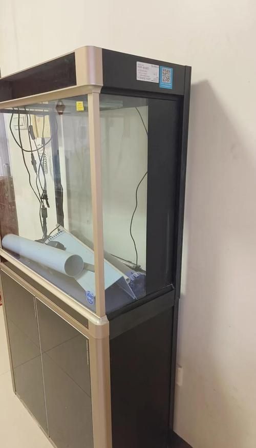 推薦幾款性價比高的森森魚缸，森森魚缸以高性價比高性價比高性價比高的森森魚缸推薦 推薦幾款性價比高的森森魚缸，森森魚缸以高性價比高性價比高性價比高的森森魚缸推薦 龍魚百科 第15張