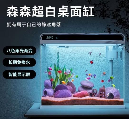 推薦幾款性價比高的森森魚缸，森森魚缸以高性價比高性價比高性價比高的森森魚缸推薦 推薦幾款性價比高的森森魚缸，森森魚缸以高性價比高性價比高性價比高的森森魚缸推薦 龍魚百科 第12張
