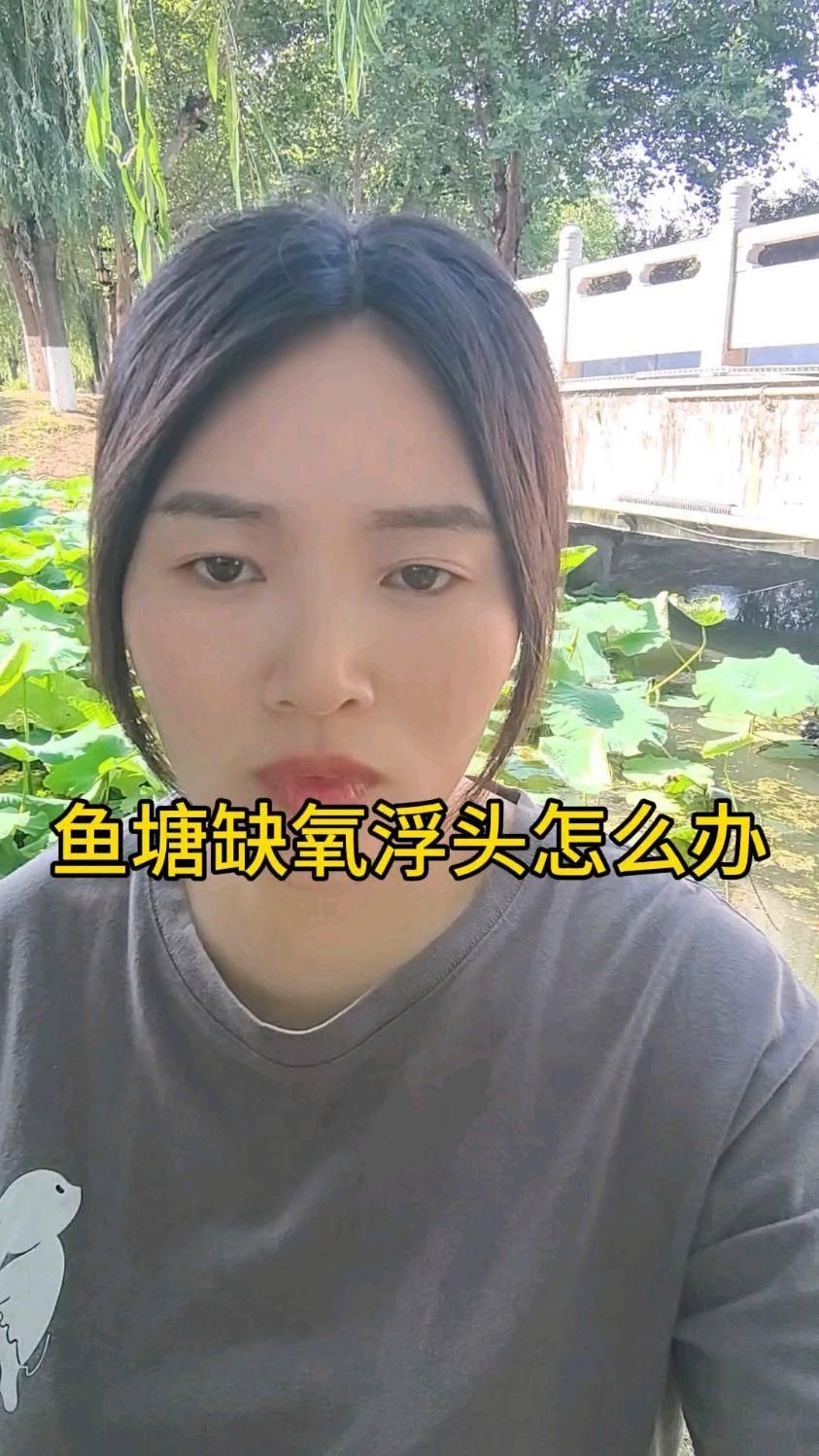 魚浮頭時如何快速增氧，暹羅斗魚魚浮頭的三大原因解析魚浮頭的三大原因解析 魚浮頭時如何快速增氧，暹羅斗魚魚浮頭的三大原因解析魚浮頭的三大原因解析 龍魚百科 第1張