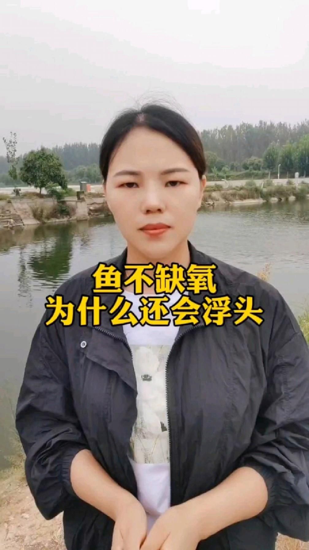 魚浮頭時如何快速增氧，暹羅斗魚魚浮頭的三大原因解析魚浮頭的三大原因解析 魚浮頭時如何快速增氧，暹羅斗魚魚浮頭的三大原因解析魚浮頭的三大原因解析 龍魚百科 第3張