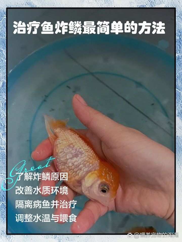 哪種藥物治療魚炸鱗最安全，哪種藥物治療魚炸鱗最安全，土霉素治療魚炸鱗需多久見效