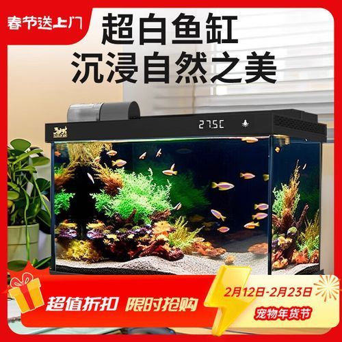 推薦幾款適合80公分金龍魚的魚缸，推薦幾款適合80公分金龍魚的魚缸，養殖80公分高的金龍魚 推薦幾款適合80公分金龍魚的魚缸，推薦幾款適合80公分金龍魚的魚缸，養殖80公分高的金龍魚 龍魚百科 第3張