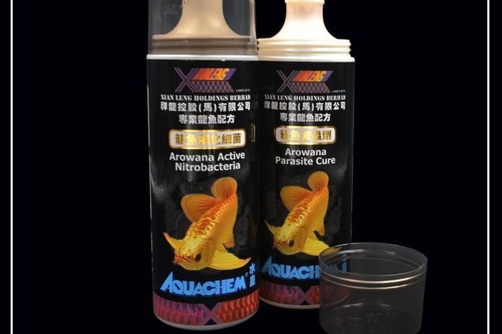 祥龍魚場(chǎng)推薦哪個(gè)品牌？，祥龍魚場(chǎng)推薦哪個(gè)品牌的魚缸， 祥龍魚場(chǎng)推薦哪個(gè)品牌？，祥龍魚場(chǎng)推薦哪個(gè)品牌的魚缸， 龍魚百科 第9張