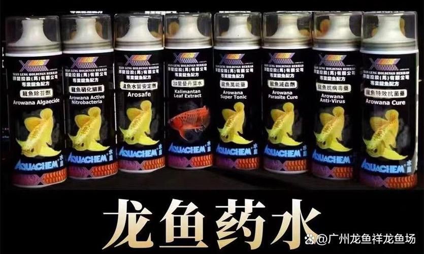 祥龍魚場(chǎng)推薦哪個(gè)品牌？，祥龍魚場(chǎng)推薦哪個(gè)品牌的魚缸， 祥龍魚場(chǎng)推薦哪個(gè)品牌？，祥龍魚場(chǎng)推薦哪個(gè)品牌的魚缸， 龍魚百科 第5張