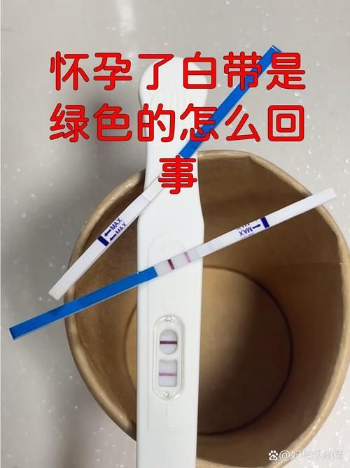 細菌感染型紅龍魚如何手術清理？，紅龍魚細菌感染型紅龍魚手術清理