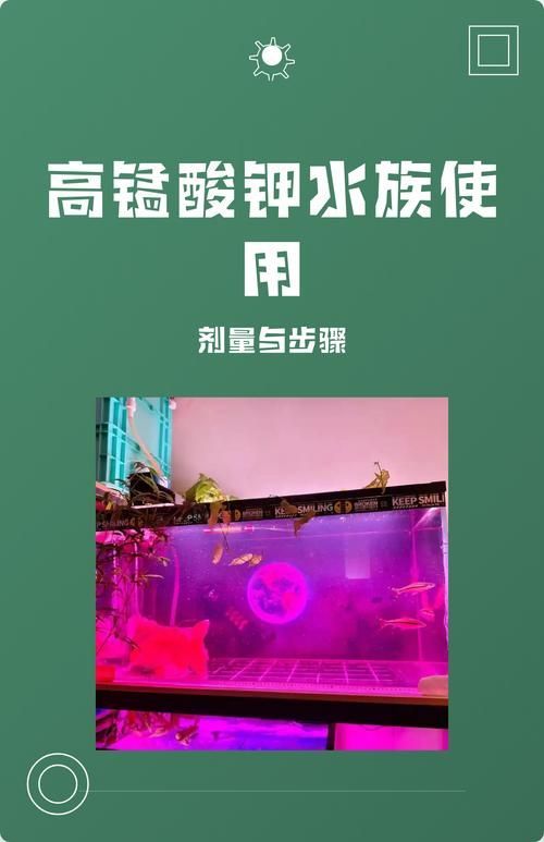 有哪些有效的魚缸細(xì)菌抑制劑，魚缸細(xì)菌抑制劑使用技術(shù) 有哪些有效的魚缸細(xì)菌抑制劑，魚缸細(xì)菌抑制劑使用技術(shù) 龍魚百科 第1張