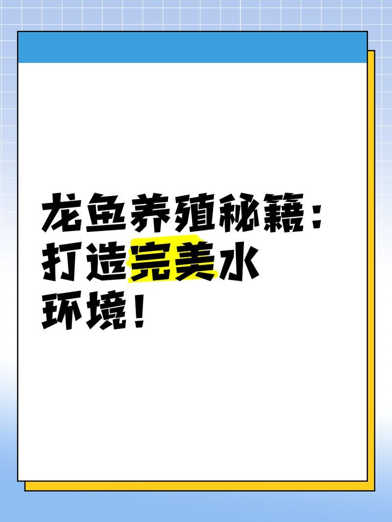 能給出更多預防龍魚病癥的建議嗎，養(yǎng)殖龍魚的注意事項 能給出更多預防龍魚病癥的建議嗎，養(yǎng)殖龍魚的注意事項 龍魚百科 第2張