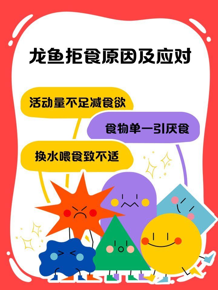 龍魚拒食期間如何護(hù)理，龍魚拒食怎么辦？ 龍魚拒食期間如何護(hù)理，龍魚拒食怎么辦？ 龍魚百科 第1張
