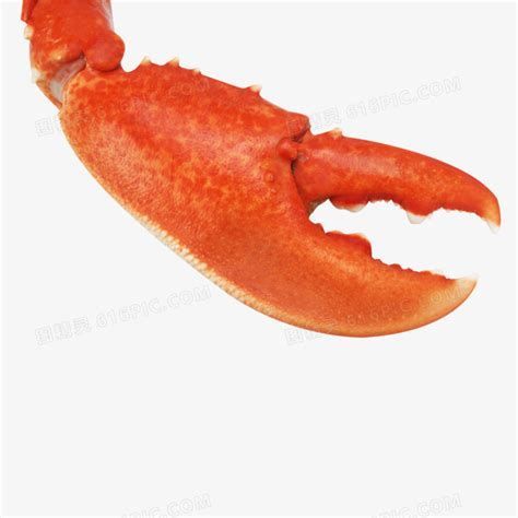 龍魚在魚缸底部游多久需要換水？，健康龍魚通常游動活躍，底部停留時間過長需警惕水質問題