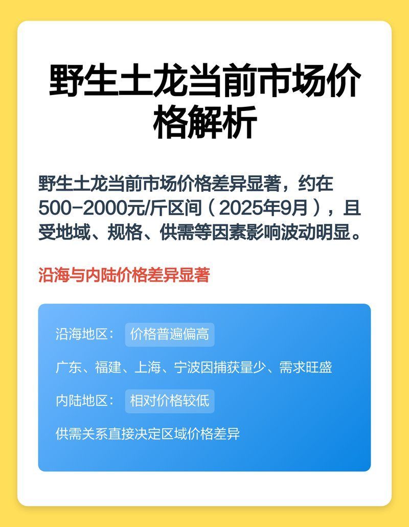 土龍魚的市場價格，土龍魚價格地區差異及2025波動解析 土龍魚的市場價格，土龍魚價格地區差異及2025波動解析 龍魚百科 第4張