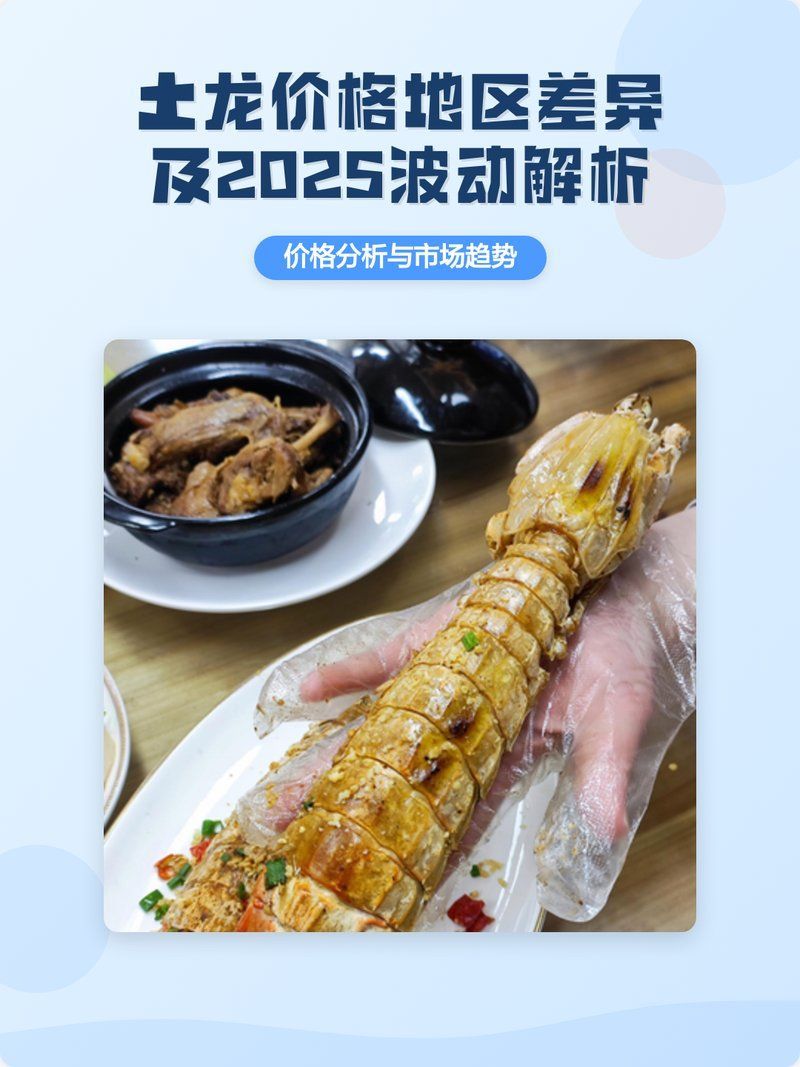 土龍魚的市場價格，土龍魚價格地區差異及2025波動解析 土龍魚的市場價格，土龍魚價格地區差異及2025波動解析 龍魚百科 第3張