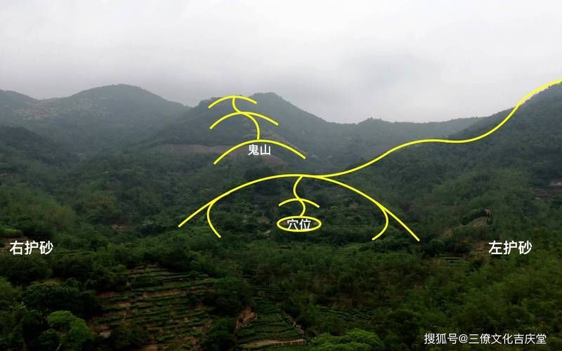能提供更多龍形地的風水圖片嗎，什么是龍形地 能提供更多龍形地的風水圖片嗎，什么是龍形地 龍魚百科 第18張