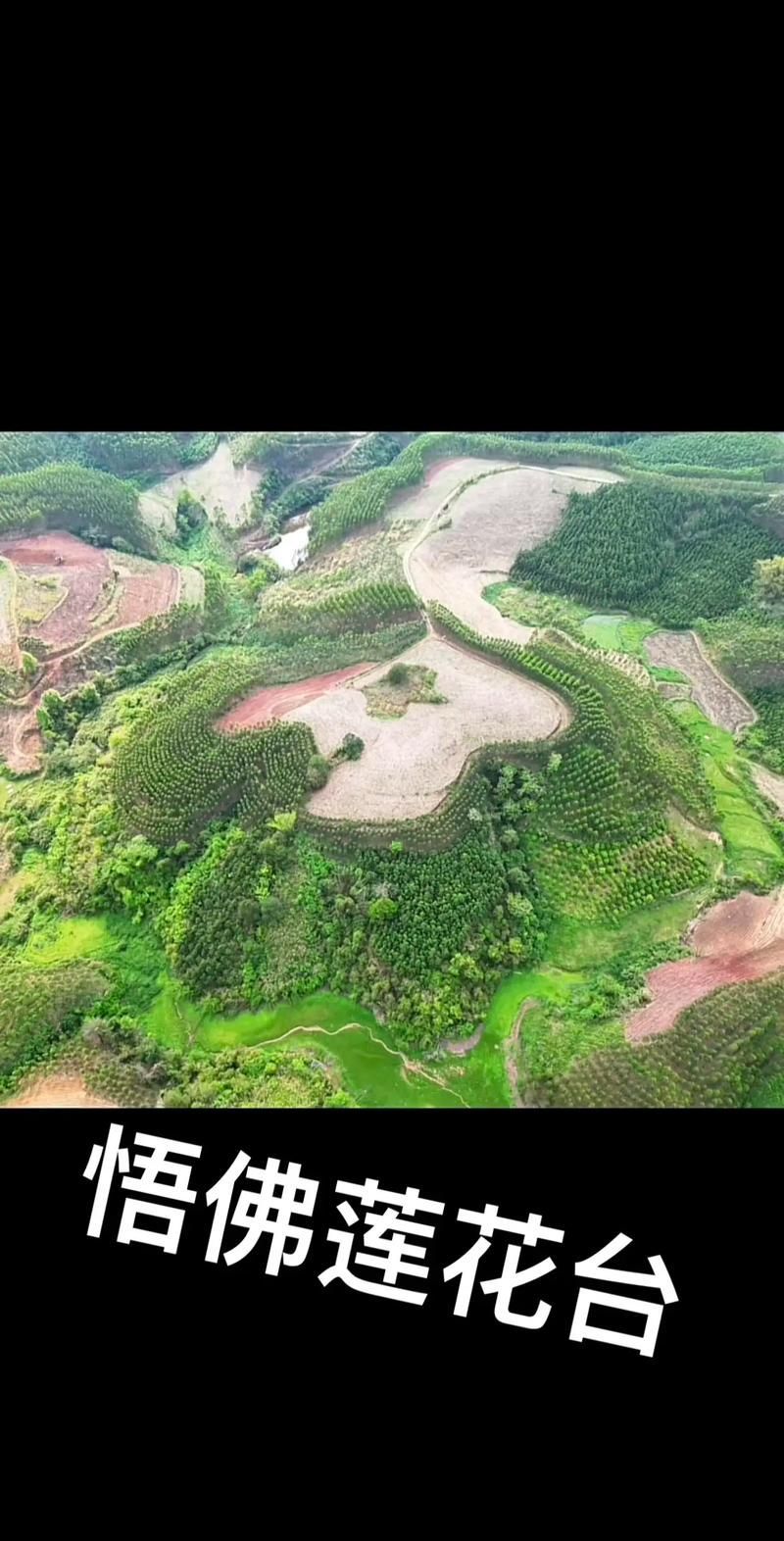 能提供更多龍形地的風水圖片嗎，什么是龍形地 能提供更多龍形地的風水圖片嗎，什么是龍形地 龍魚百科 第8張