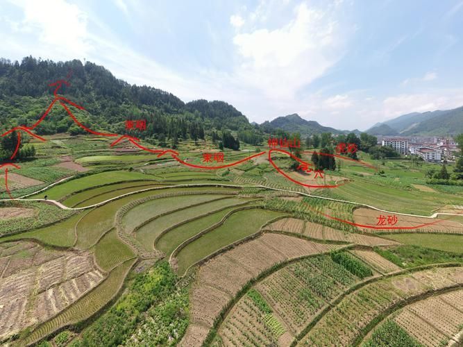 能提供更多龍形地的風水圖片嗎，什么是龍形地 能提供更多龍形地的風水圖片嗎，什么是龍形地 龍魚百科 第23張