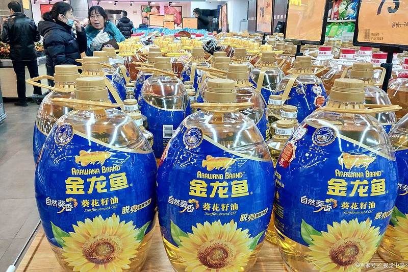金龍魚廠家地址在哪里？，金龍魚廠家地址位于中國廣東省佛山市順德區 金龍魚廠家地址在哪里？，金龍魚廠家地址位于中國廣東省佛山市順德區 龍魚百科 第1張