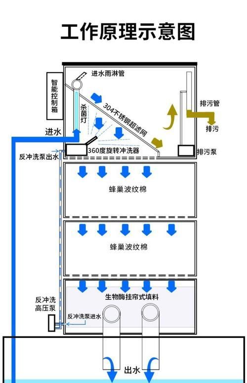 冷水觀賞魚養殖技巧，冷水觀賞魚養殖技巧詳解