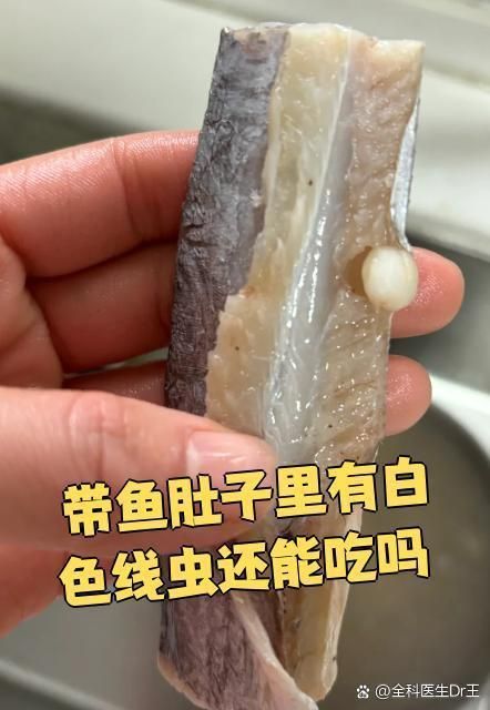 如何預(yù)防魚(yú)肚子白色寄生蟲(chóng)感染，10種常見(jiàn)魚(yú)類寄生蟲(chóng)防治指南魚(yú)悅媽咪缸藝