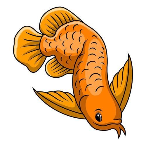 能推薦一些更萌的龍魚頭像嗎?,有哪些萌系龍魚頭像推薦? 龍魚百科 第3張 能推薦一些更萌的龍魚頭像嗎?,有哪些萌系龍魚頭像推薦? 能推薦一些更萌的龍魚頭像嗎?,有哪些萌系龍魚頭像推薦? 龍魚百科 第3張
