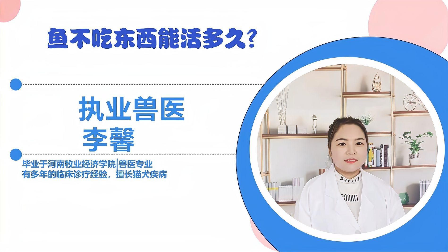 出門10天魚會不會餓死，出門10天魚會不會餓死魚趣暹羅斗魚不喂食會餓死嗎