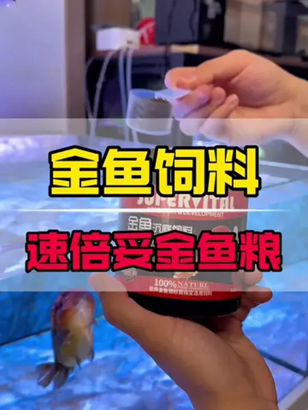 速倍妥品牌有哪些主打產品？，速倍妥品牌有哪些主打產品有哪些主打產品有哪些 速倍妥品牌有哪些主打產品？，速倍妥品牌有哪些主打產品有哪些主打產品有哪些 龍魚百科 第1張