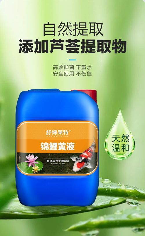 備能、瑪豆、湯本臣等品牌的龍魚藥哪個最好？，備能、瑪豆、湯本臣龍魚藥綜合評估 備能、瑪豆、湯本臣等品牌的龍魚藥哪個最好？，備能、瑪豆、湯本臣龍魚藥綜合評估 龍魚百科 第2張