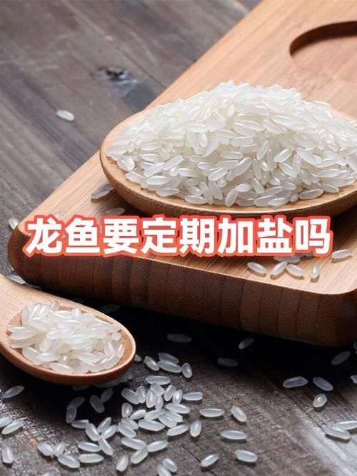 甲硝唑片對龍魚有哪些具體副作用，甲硝唑對龍魚有哪些具體副作用 甲硝唑片對龍魚有哪些具體副作用，甲硝唑對龍魚有哪些具體副作用 龍魚百科 第4張